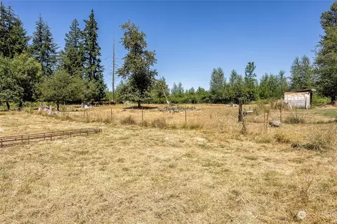 1515 338th St E, Roy, WA 98580 photo 24