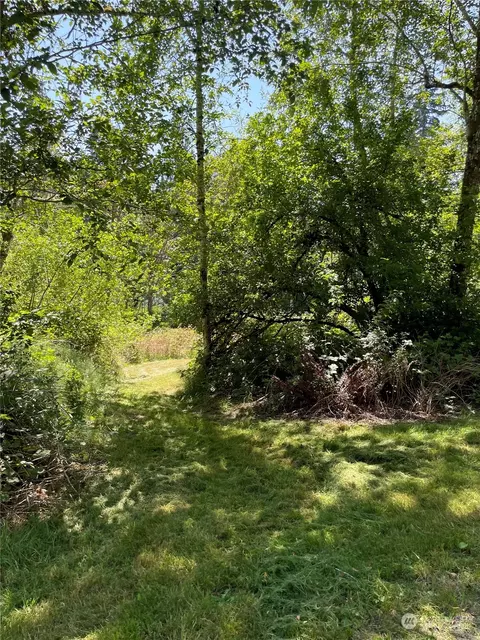 3751 E Grapeview Loop Rd, Grapeview, WA 98546 photo 11