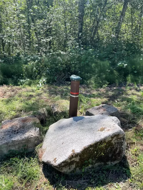 3751 E Grapeview Loop Rd, Grapeview, WA 98546 photo 8