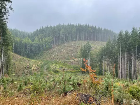 58 Nn State Route 6, Pe Ell, WA 98572