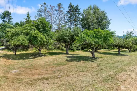 4122 Deming Rd, Everson, WA 98247 photo 38