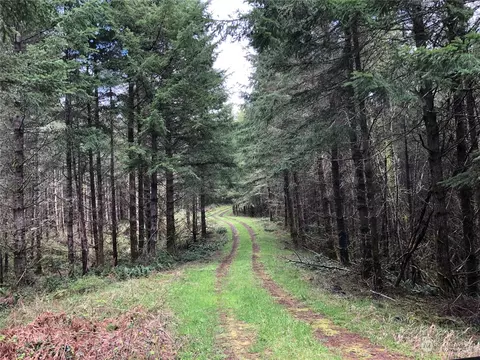 217 Nn Thompson Creek Rd, Tenino, WA 98589