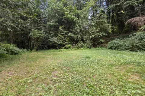 41724 SE 66th St, Snoqualmie, WA 98065
