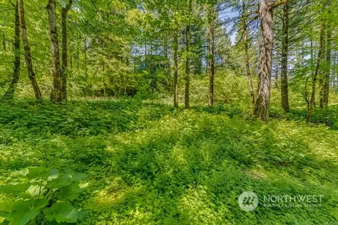0 Warren Rd #4, North Bonneville, WA 98639