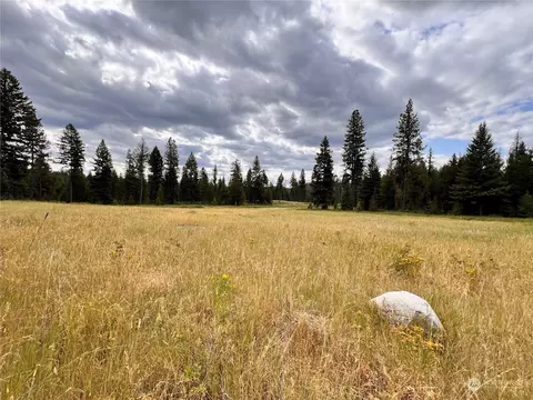 0 Tbd Old Swan Lake Rd, Republic, WA 99166