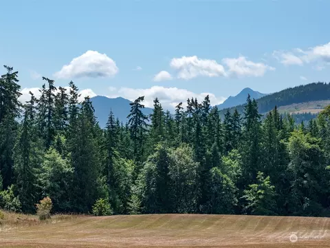 1955 Hooker Rd, Sequim, WA 98382 photo 11