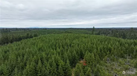 0 E Nnn E Bertlesen Rd, Shelton, WA 98584