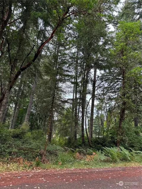 10220 Eagle Pl, Anderson Island, WA 98303