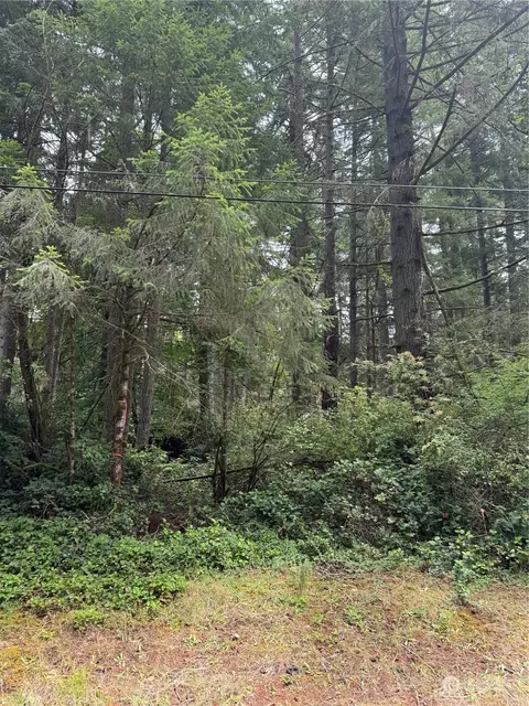 10221 Ekenstam Johnson Rd, Anderson Island, WA 98303