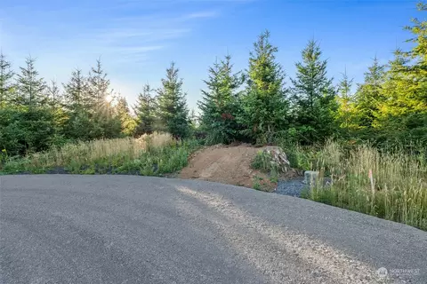 109 Brim Ridge Ln, Winlock, WA 98596 photo 27