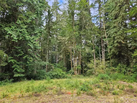 9320 124th Ave, Anderson Island, WA 98303
