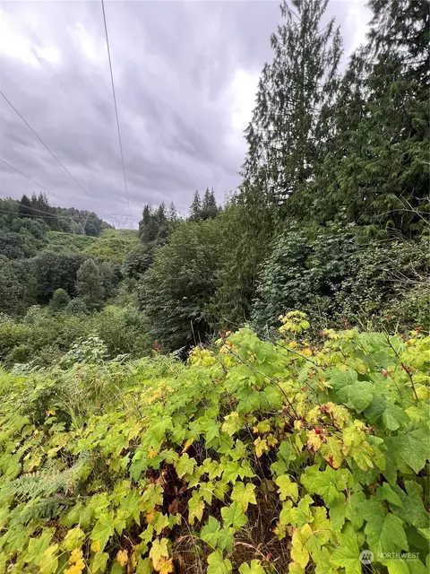 0 308th Ave NE, Duvall, WA 98019
