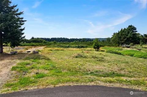 0 Nn Kayla Dr, Montesano, WA 98563