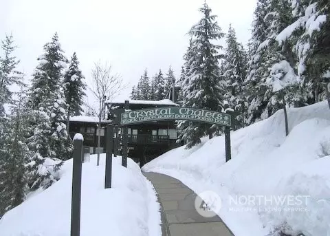 33613 Crystal Mountain Blvd E #512, Greenwater, WA 98022