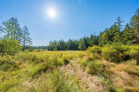 423 Dell Ray Dr, Sequim, WA 98382 photo 19