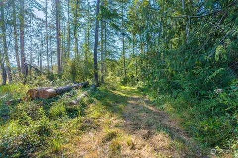 423 Dell Ray Dr, Sequim, WA 98382 photo 17