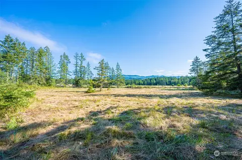 423 Dell Ray Dr, Sequim, WA 98382 photo 22