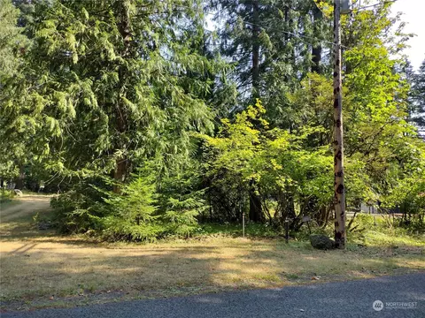 0 Lot 6 Crescent Beach Dr, Packwood, WA 98361