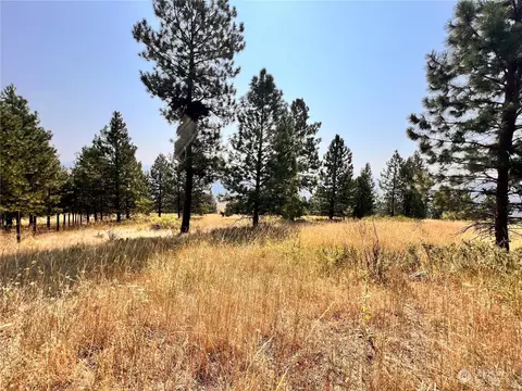 0 Tbd Honeysuckle Ln, Curlew, WA 99118