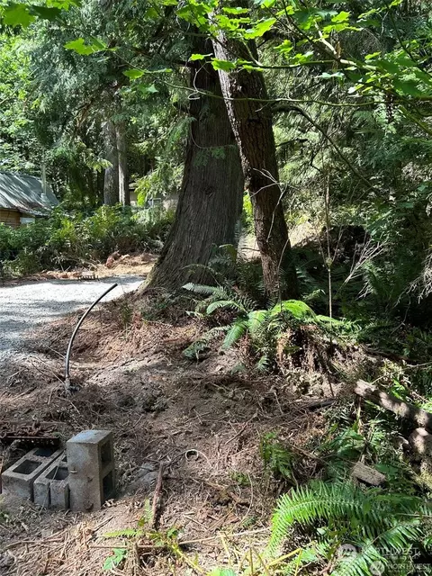 0 Dotson Rd, Monroe, WA 98272 photo 8
