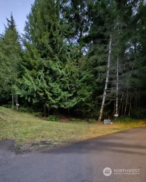 525 E Timber Tides Dr, Union, WA 98592
