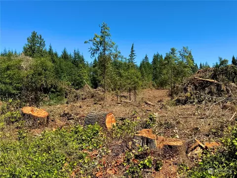 381 Harmon Rd, Chehalis, WA 98532 photo 10