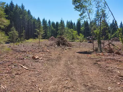 381 Harmon Rd, Chehalis, WA 98532 photo 27