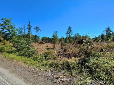 381 Harmon Rd, Chehalis, WA 98532 photo 33