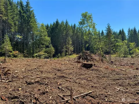 381 Harmon Rd, Chehalis, WA 98532 photo 16
