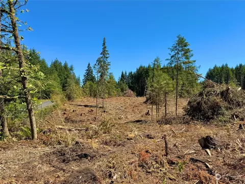 381 Harmon Rd, Chehalis, WA 98532 photo 5