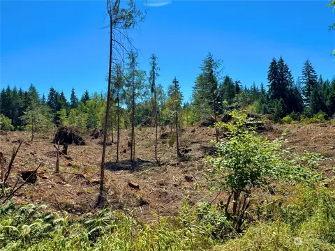 381 Harmon Rd, Chehalis, WA 98532 photo 20