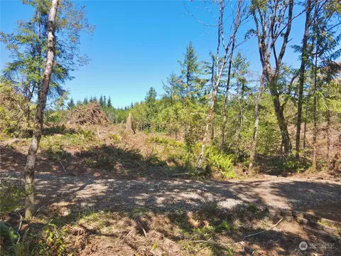 417 Harmon Rd, Chehalis, WA 98532 photo 18