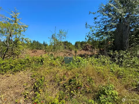 417 Harmon Rd, Chehalis, WA 98532 photo 9