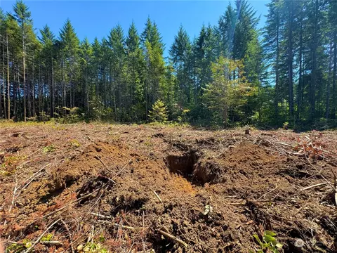 417 Harmon Rd, Chehalis, WA 98532 photo 10