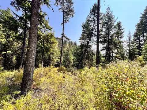 0 Lot 193 Stacy Rd, Republic, WA 99166