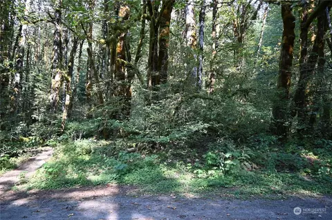 10048 Foss River Pl NE, Skykomish, WA 98288