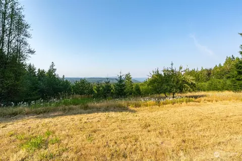 429 Burchett Rd, Onalaska, WA 98570 photo 27