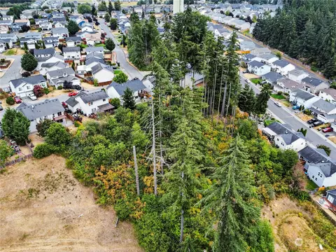 View/Area - 19910 15th Ave E, Spanaway, WA 98387 photo 3 of 5