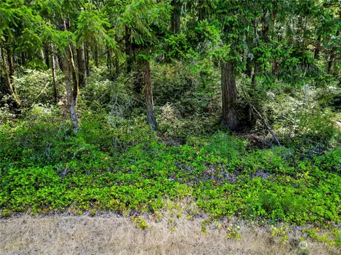 10205 Eckenstam Johnson Rd, Anderson Island, WA 98303