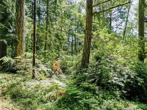 12212 Sound Dr, Anderson Island, WA 98303