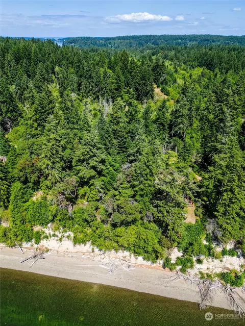 0 150th Ave, Anderson Island, WA 98303