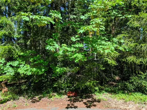 8809 Johnson Rd, Anderson Island, WA 98303