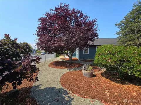 262 W Spruce St, Sequim, WA 98382 photo 4