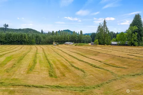 11 Hanen Rd, Raymond, WA 98577 photo 33