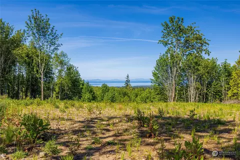 0 Lot 5 Black Bear Trl, Port Angeles, WA 98362