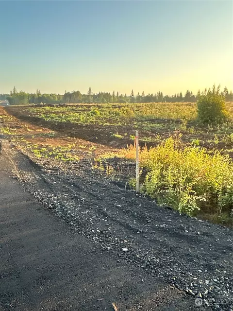 446 Park Rd, Winlock, WA 98596 photo 11