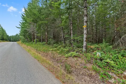 0 E Tr 3 E Webb Hill Rd, Union, WA 98592 photo 3