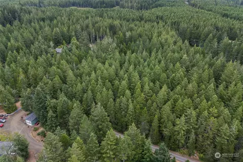 0 E Tr 3 E Webb Hill Rd, Union, WA 98592 photo 9