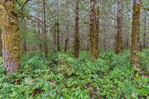 0 E Tr 3 E Webb Hill Rd, Union, WA 98592