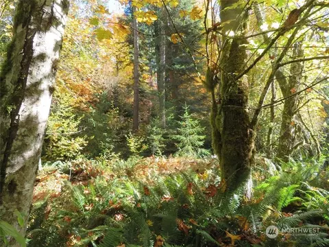 0 Nnn Grimes Rd, Toledo, WA 98591